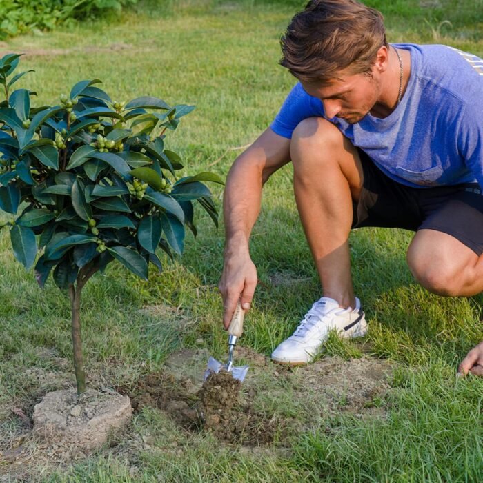 Stainless Steel Trowel: Premium Wood Handle - Image 5